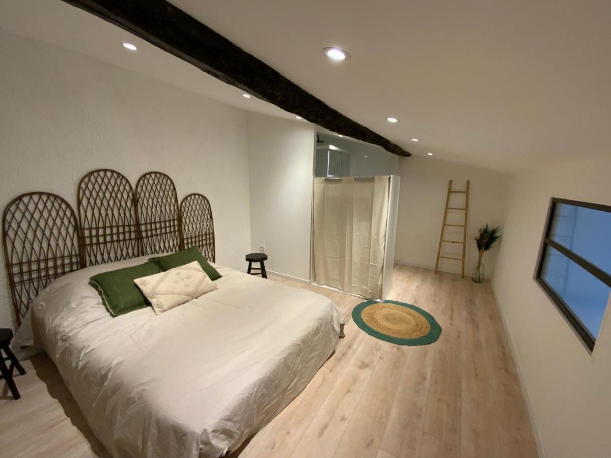 Tres Bel Appartement Refait A Neuf بيربينيو المظهر الخارجي الصورة